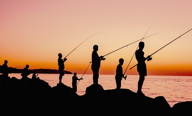 Sildeforfang: Tips og tricks til at forbedre dit fiskeri