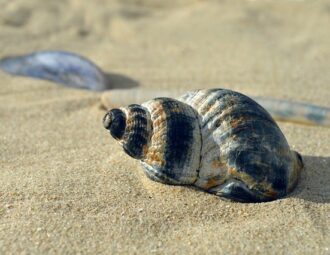 Digital detox på ferien: Derfor skal du efterlade mobilen hjemme