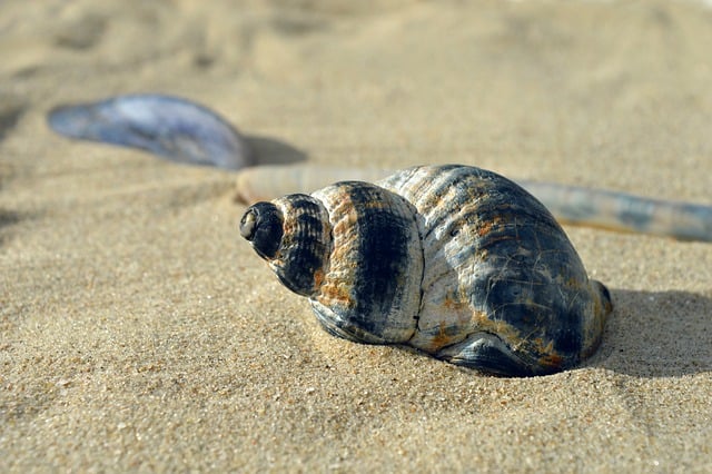 Digital detox på ferien: Derfor skal du efterlade mobilen hjemme