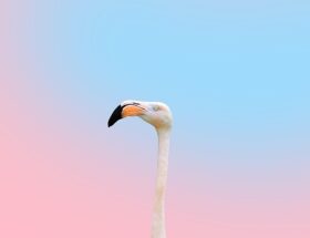 Grøn skønhed: De bedste bæredygtige beautybrands lige nu