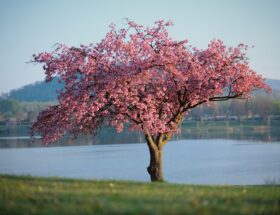 Farver i fokus: De hotteste nuancer denne sæson