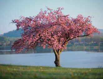 Farver i fokus: De hotteste nuancer denne sæson